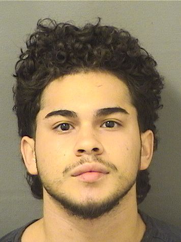  ABRAHAM JESUS VEGASTELLER Results from Palm Beach County Florida for  ABRAHAM JESUS VEGASTELLER