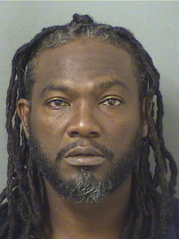  MARTIN JOHNSON Photo For  MARTIN JOHNSON