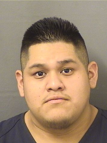  DENNY JUANMATIAS Results from Palm Beach County Florida for  DENNY JUANMATIAS