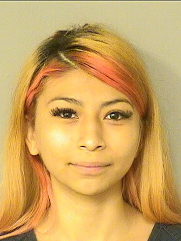  ANAYA CASTILLO Results from Palm Beach County Florida for  ANAYA CASTILLO
