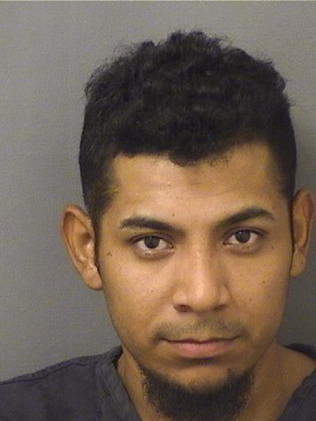  HENRY JESUS JOYARAMIREZ Results from Palm Beach County Florida for  HENRY JESUS JOYARAMIREZ