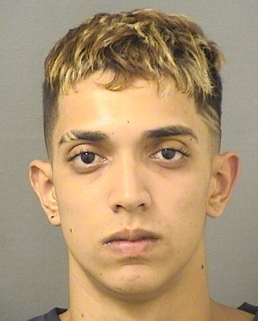  SEBASTIAN RAMIREZBENITEZ Results from Palm Beach County Florida for  SEBASTIAN RAMIREZBENITEZ