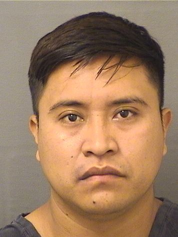  MARCO ANTONIO LUCASPU Resultados de la busqueda para Palm Beach County Florida para  MARCO ANTONIO LUCASPU