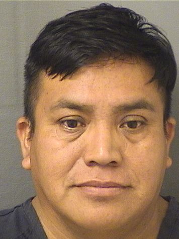  AGUIRRE TOMASJIMENEZ Resultados de la busqueda para Palm Beach County Florida para  AGUIRRE TOMASJIMENEZ