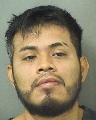  ELMER BAUTISTA HOTIUL Results from Palm Beach County Florida for  ELMER BAUTISTA HOTIUL