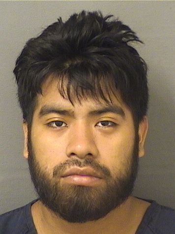  JESUS ALFREDO TIQUIRAMTIQUIRAM Results from Palm Beach County Florida for  JESUS ALFREDO TIQUIRAMTIQUIRAM