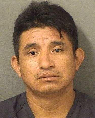  SEBASTIAN FRANCISCORAMON Results from Palm Beach County Florida for  SEBASTIAN FRANCISCORAMON