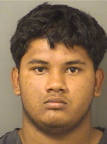  HECTOR YAFETH CHAMALEAMADOR Results from Palm Beach County Florida for  HECTOR YAFETH CHAMALEAMADOR