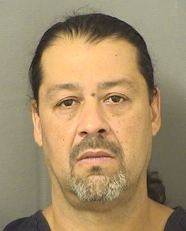  MICHAEL VASQUEZ Results from Palm Beach County Florida for  MICHAEL VASQUEZ