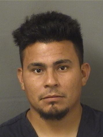  JOSE WILMER HERNANDEZ ALVAREZ Results from Palm Beach County Florida for  JOSE WILMER HERNANDEZ ALVAREZ