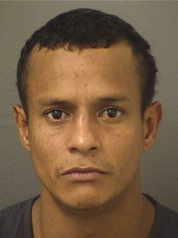  DURANTE JOSE FRENANDEZ Results from Palm Beach County Florida for  DURANTE JOSE FRENANDEZ