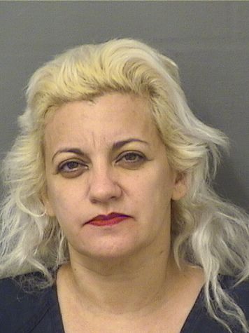  KIRENIA VALDES ROJAS Results from Palm Beach County Florida for  KIRENIA VALDES ROJAS