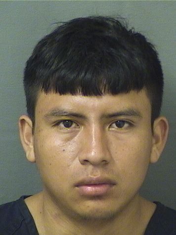 DAVID MATEOLORENZO Photos For  DAVID MATEOLORENZO  DAVID MATEOLORENZO Photo For  DAVID MATEOLORENZO