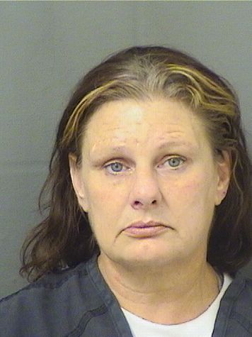  DANIELLE VULPIS Results from Palm Beach County Florida for  DANIELLE VULPIS