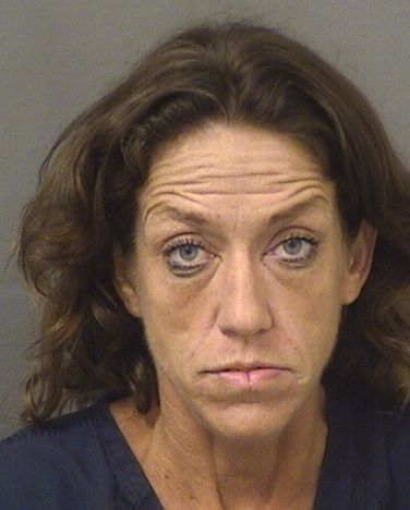  NICOLE R HERMESCH Results from Palm Beach County Florida for  NICOLE R HERMESCH