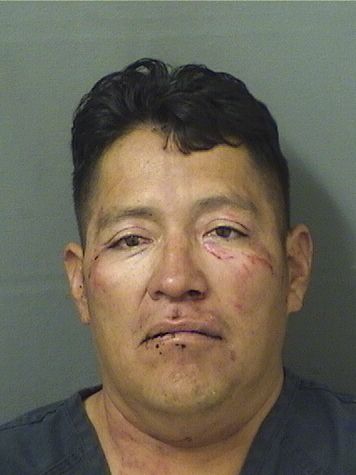  ELIGIO CHUNCALEL Results from Palm Beach County Florida for  ELIGIO CHUNCALEL