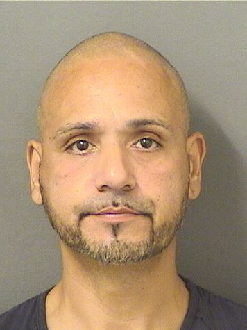 RICARDO JAVIER LUGO Results from Palm Beach County Florida for  RICARDO JAVIER LUGO  RICARDO JAVIER LUGO Results from Palm Beach County Florida for  RICARDO JAVIER LUGO