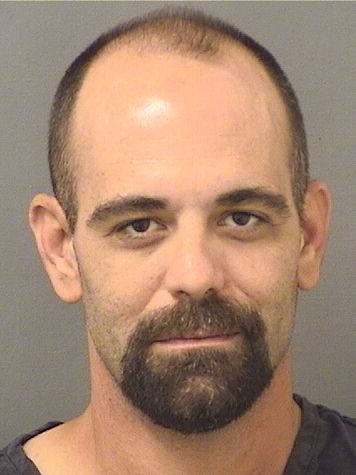  MICHAEL A GONZALEZ Results from Palm Beach County Florida for  MICHAEL A GONZALEZ