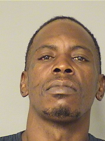  LESSLEY RONSHAY LAIDLER Results from Palm Beach County Florida for  LESSLEY RONSHAY LAIDLER