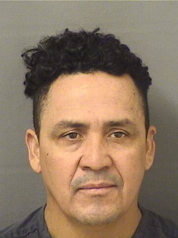  ARNOLDO N VINDELTEJEDA Results from Palm Beach County Florida for  ARNOLDO N VINDELTEJEDA