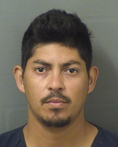  JORGE LUIS VILLANUEVA Results from Palm Beach County Florida for  JORGE LUIS VILLANUEVA