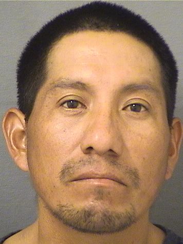  DIEGO RAMIREZ Resultados de la busqueda para Palm Beach County Florida para  DIEGO RAMIREZ