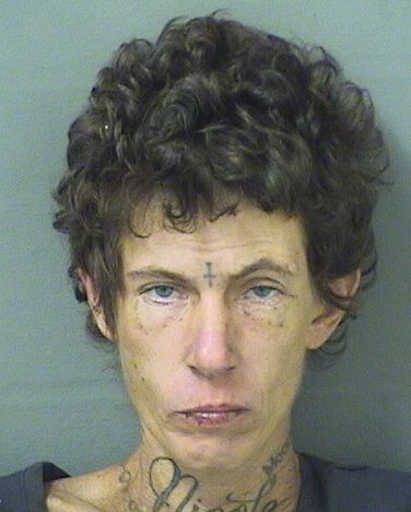  AMANDA WILLIAMSON Photo For  AMANDA WILLIAMSON