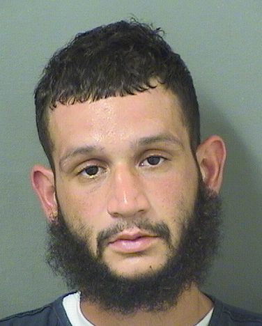 JERRY JOEL ROMAN Results from Palm Beach County Florida for  JERRY JOEL ROMAN  JERRY JOEL ROMAN Results from Palm Beach County Florida for  JERRY JOEL ROMAN