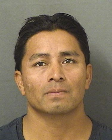  DANIEL TOMAS SANTOS ANDRES Resultados de la busqueda para Palm Beach County Florida para  DANIEL TOMAS SANTOS ANDRES