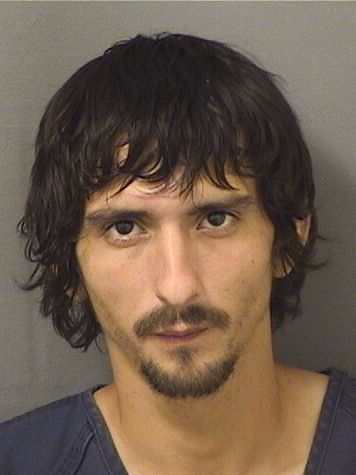  CARLOS A RODRIGUEZ Results from Palm Beach County Florida for  CARLOS A RODRIGUEZ