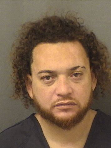  ALEX LEBRON Resultados de la busqueda para Palm Beach County Florida para  ALEX LEBRON