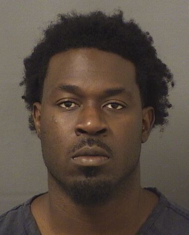 MICHAEL DESTIN Results from Palm Beach County Florida for  MICHAEL DESTIN  MICHAEL DESTIN Results from Palm Beach County Florida for  MICHAEL DESTIN