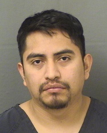  PABLO JORDANY LOPEZ HERNANDEZ Photo For  PABLO JORDANY LOPEZ HERNANDEZ