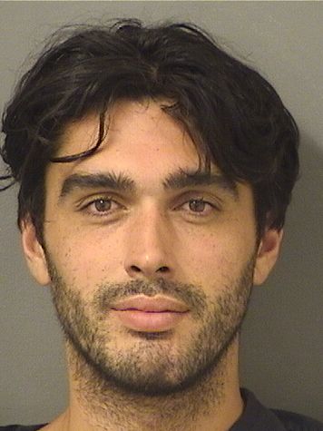  PEARCE WILLIAM SABATES Results from Palm Beach County Florida for  PEARCE WILLIAM SABATES