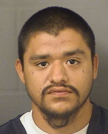  JESUS HENRY Jr SORIA Results from Palm Beach County Florida for  JESUS HENRY Jr SORIA