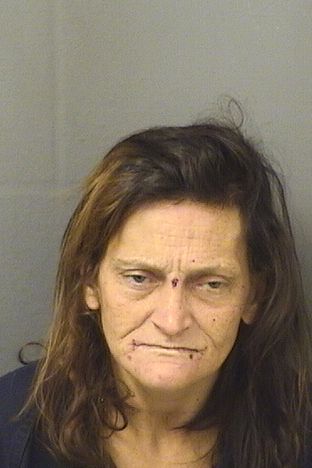 MARY OCONNELL Results from Palm Beach County Florida for  MARY OCONNELL  MARY OCONNELL Results from Palm Beach County Florida for  MARY OCONNELL