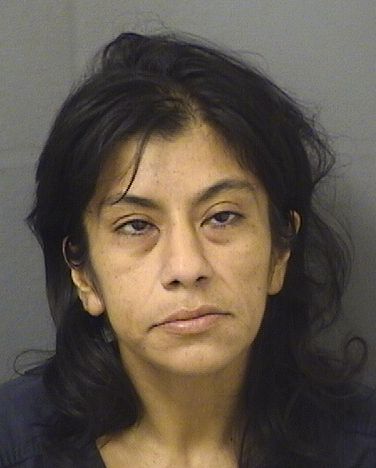  JACQUELINE NEBULONI Photo