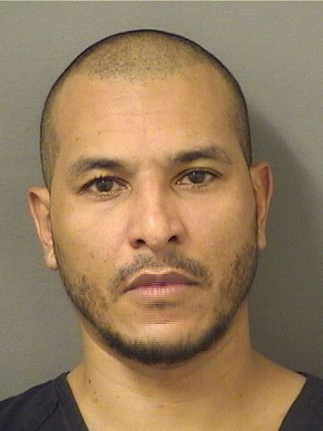  ARIS FERMIN Results from Palm Beach County Florida for  ARIS FERMIN