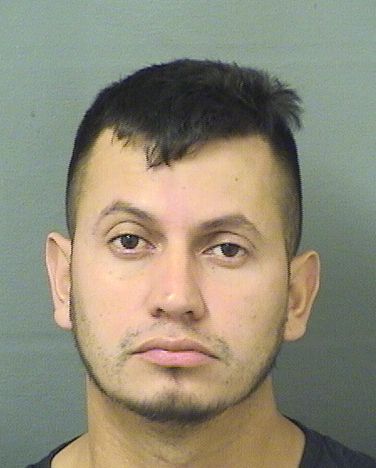 BERNARDO ADOLFO AYALA ORELLANA Results from Palm Beach County Florida for  BERNARDO ADOLFO AYALA ORELLANA  BERNARDO ADOLFO AYALA ORELLANA Results from Palm Beach County Florida for  BERNARDO ADOLFO AYALA ORELLANA