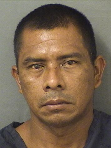 JOSE MARIAANGEL GONZALEZCOCHE Results from Palm Beach County Florida for  JOSE MARIAANGEL GONZALEZCOCHE