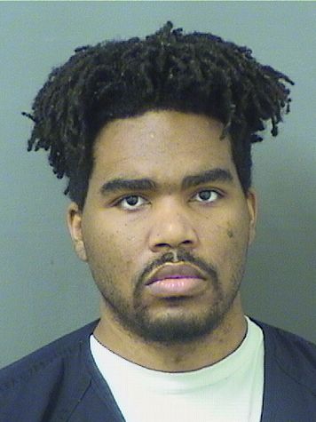  NICHOLAS S BROWN Results from Palm Beach County Florida for  NICHOLAS S BROWN