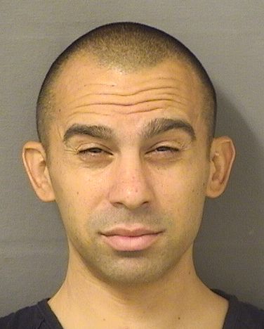  NICHOLAS IACONO Photo