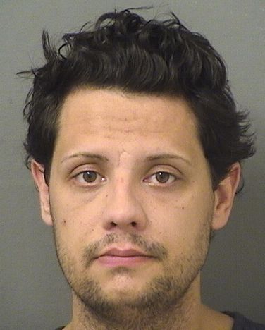  ELIAS MARTIN DAWLEY Resultados de la busqueda para Palm Beach County Florida para  ELIAS MARTIN DAWLEY