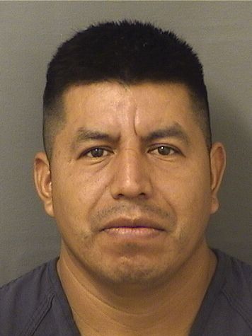  CARLOS LEOPOLDO MEJIA PEREZ Results from Palm Beach County Florida for  CARLOS LEOPOLDO MEJIA PEREZ