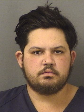  ANDRES CARGILL CHAVES Results from Palm Beach County Florida for  ANDRES CARGILL CHAVES