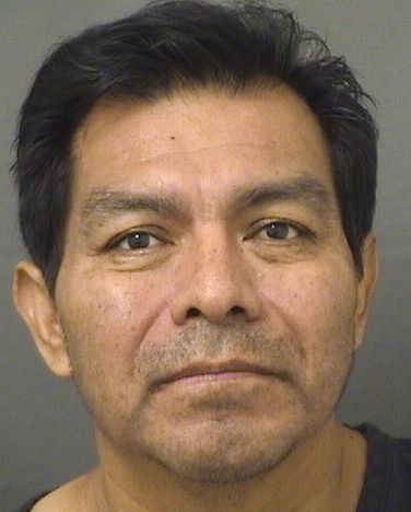  MARIO MATEO Results from Palm Beach County Florida for  MARIO MATEO
