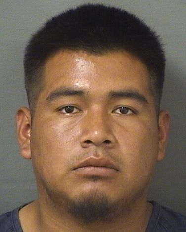  ABDIN ADOLFO RAMOS LOPEZ Results from Palm Beach County Florida for  ABDIN ADOLFO RAMOS LOPEZ