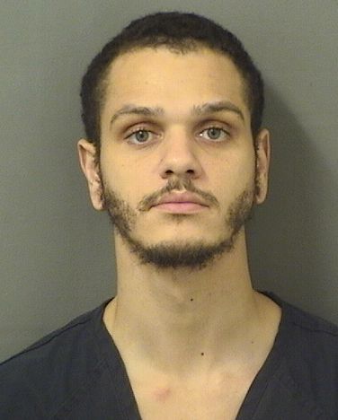  MATIAS DOMINIC HESKESTAD Results from Palm Beach County Florida for  MATIAS DOMINIC HESKESTAD