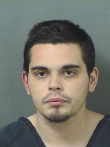  JOHN JUSTI SIMS Results from Palm Beach County Florida for  JOHN JUSTI SIMS