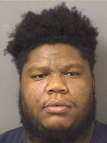  YVES PIERRE LEANDRE Results from Palm Beach County Florida for  YVES PIERRE LEANDRE